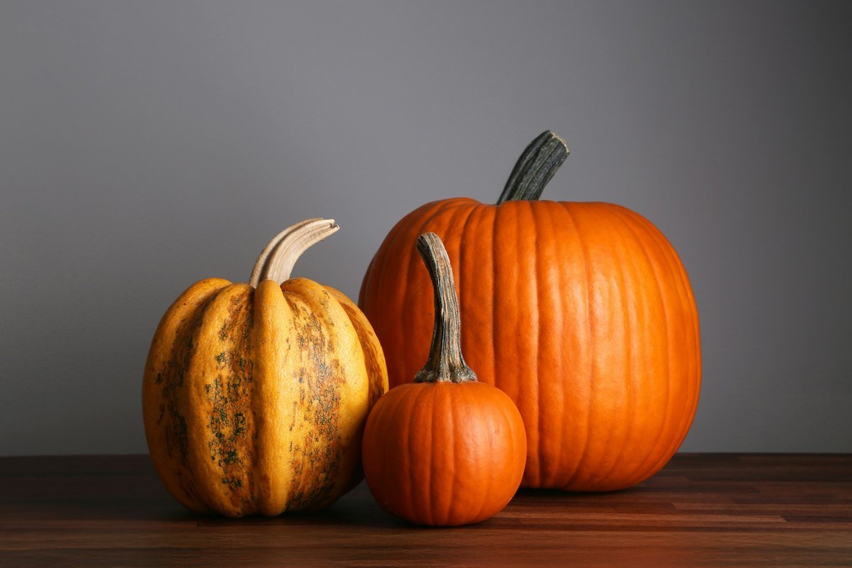 Setting a Wider Table: Meaningful Ways to Give Back This Thanksgiving Across Prince Edward Island