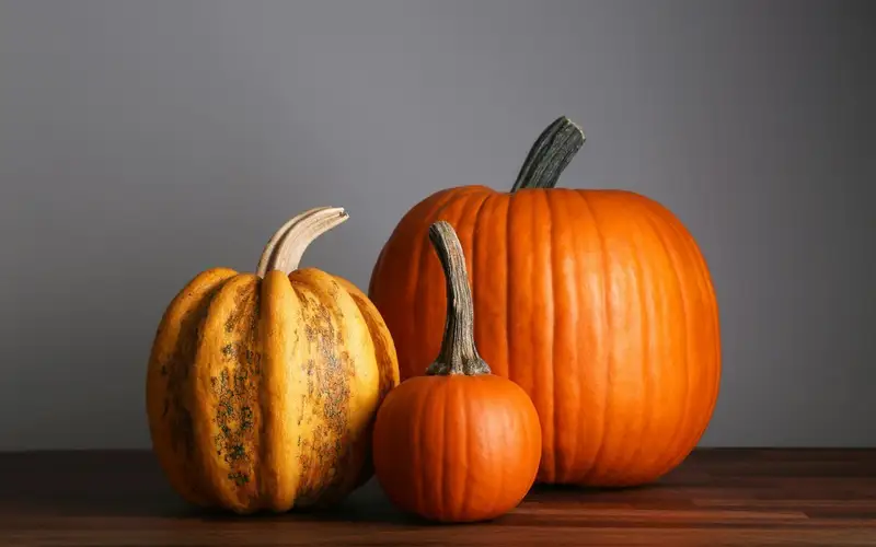 Setting a Wider Table: Meaningful Ways to Give Back This Thanksgiving Across Prince Edward Island