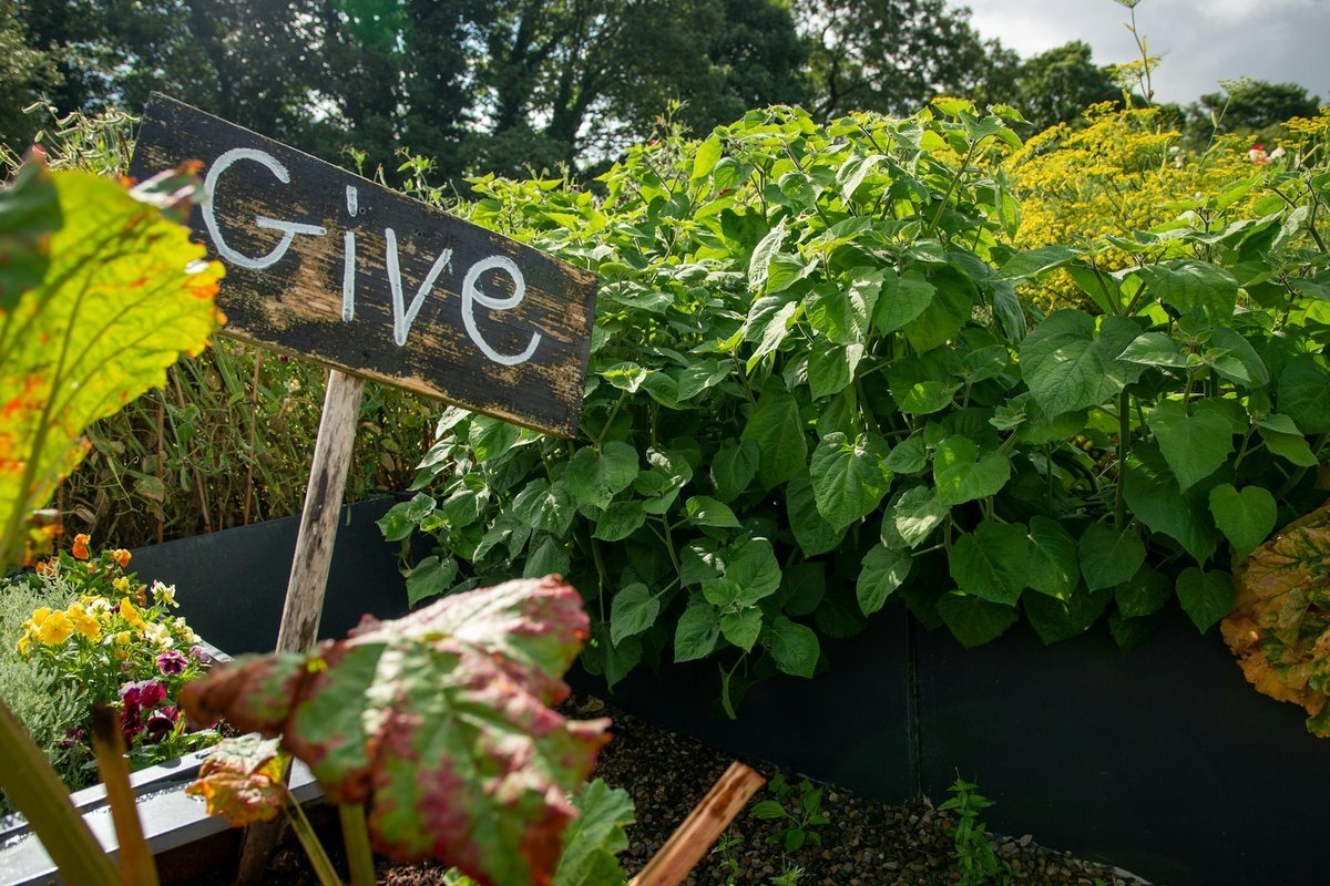 Innovate Today, Nourish Tomorrow: Reimagining Food Security Across Prince Edward Island