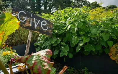 Innovate Today, Nourish Tomorrow: Reimagining Food Security Across Prince Edward Island