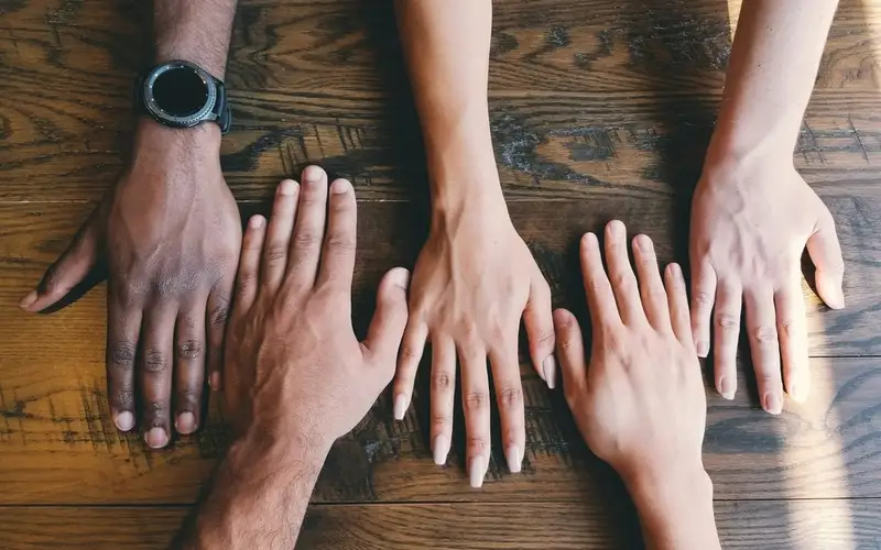 Volunteer Opportunities in PEI (Jul 06 - Jul 12, 2026)