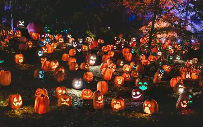Spooktacular Ways to Give Back: Celebrating Halloween 2026 in Prince Edward Island