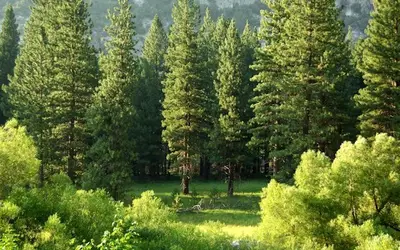 Celebrating Canadian Environment Week 2026: Let's Protect Our Home