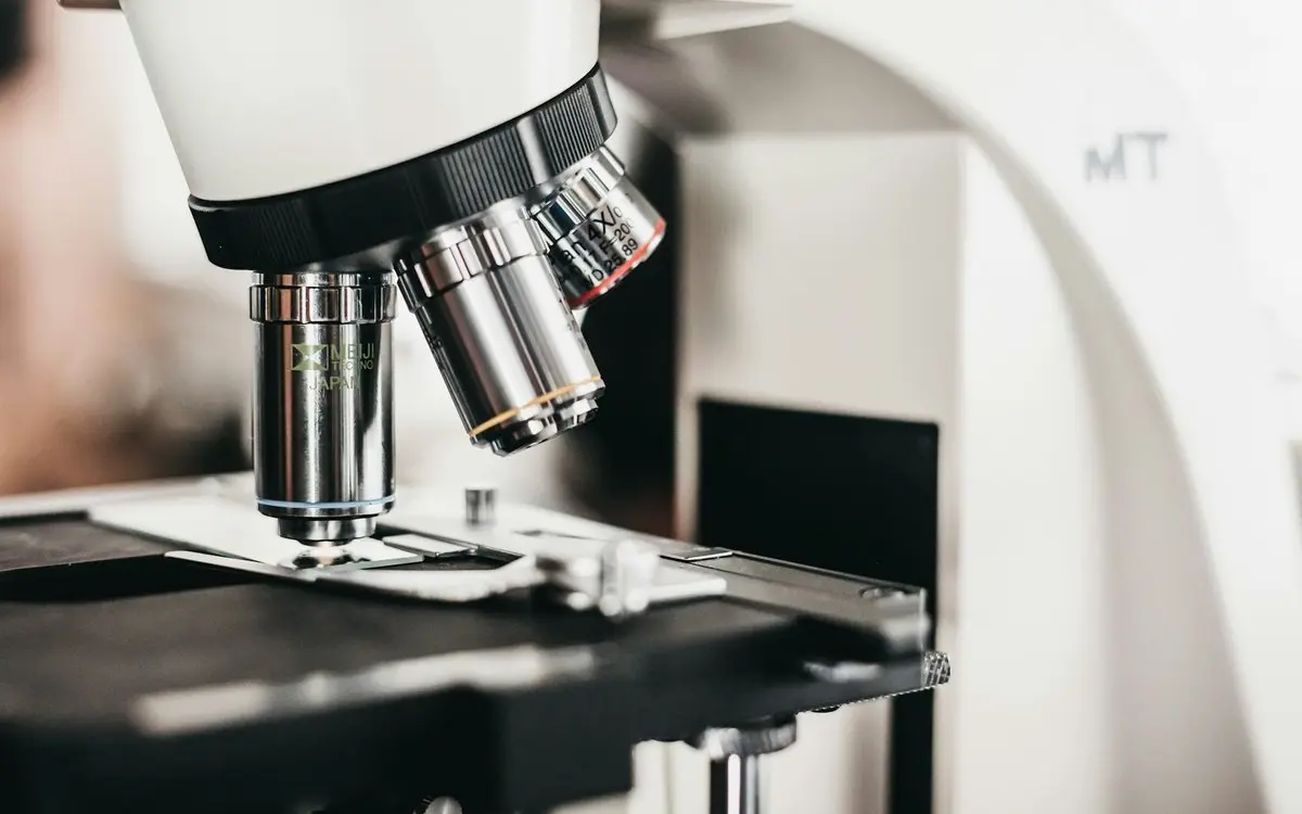 Micro-Volunteering in Prince Edward Island: How to Make a Big Difference in Just Minutes