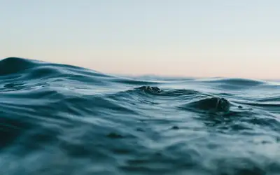 Feature image for Celebrate World Water Day in Prince Edward Island!