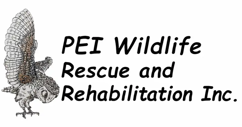 PEI Wildlife Rescue and Rehabilitation Inc.
