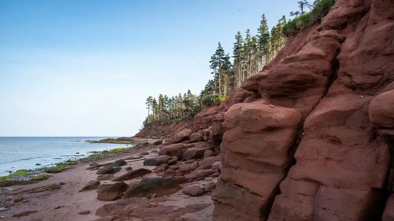 Nonprofit Organizations in PEI